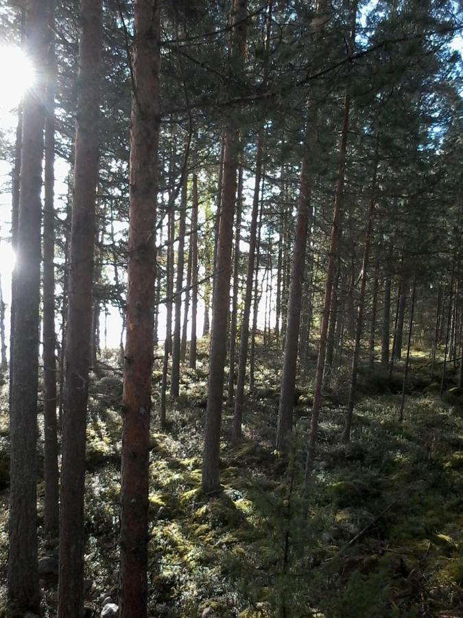 Villa Nina Luikonlahti Eksteriør bilde