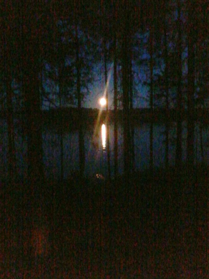 Villa Nina Luikonlahti Eksteriør bilde